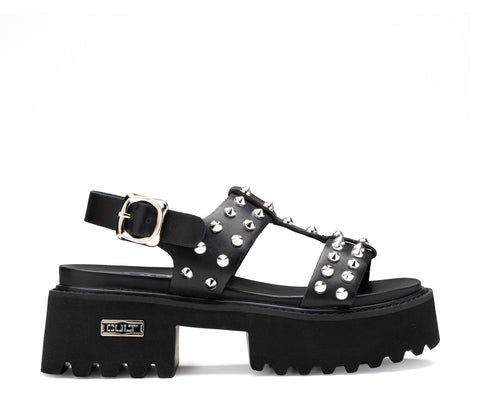 CHER 4734